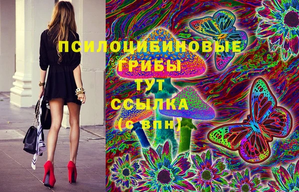 герыч Зерноград