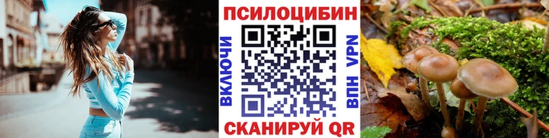 Галлюциногенные грибы мицелий  Купить где  Мариинск 